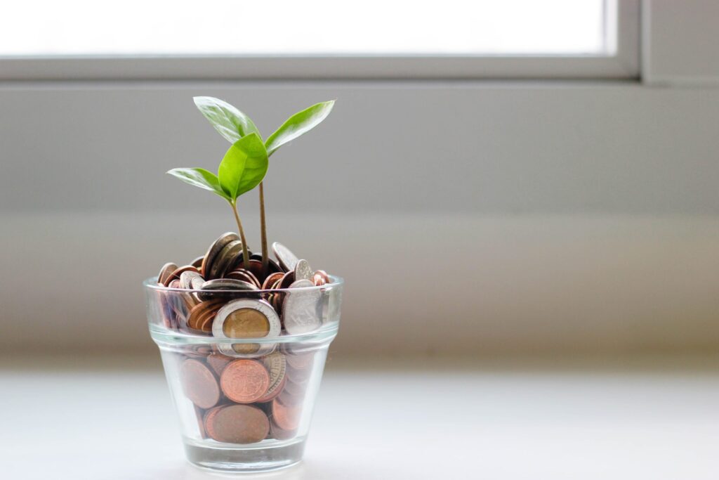 Money in a pot with a small plant sprouting from the money